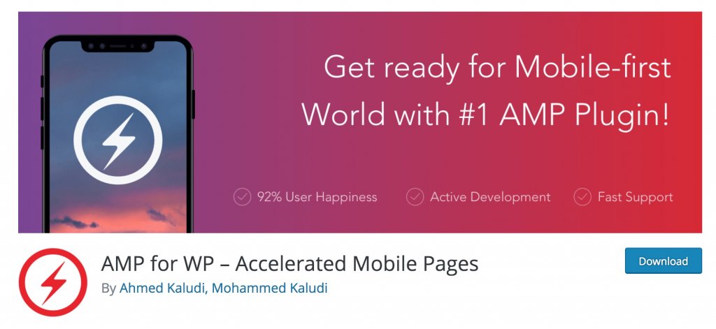 Google AMP for WP