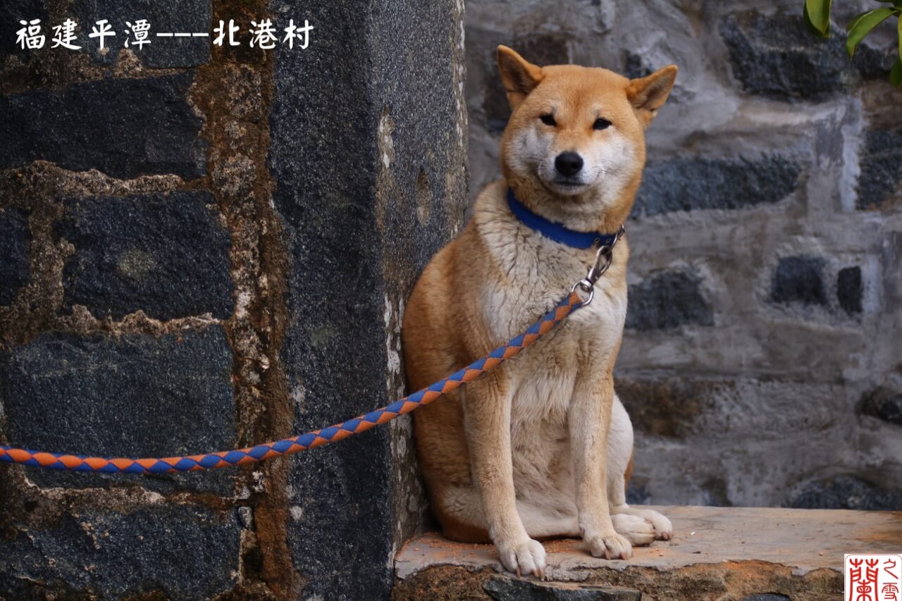 福建平潭北港村