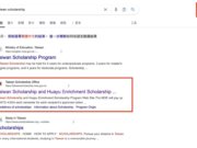 TaiwanScholarship獎學金網站Google SEO 網站自然流量的行銷規劃